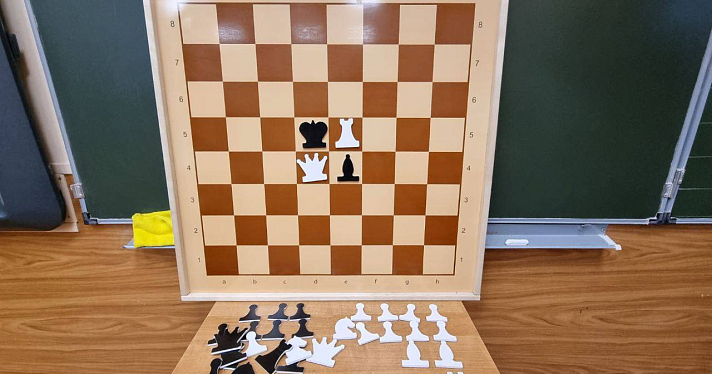 В ярославских школах начались уроки шахмат_252314