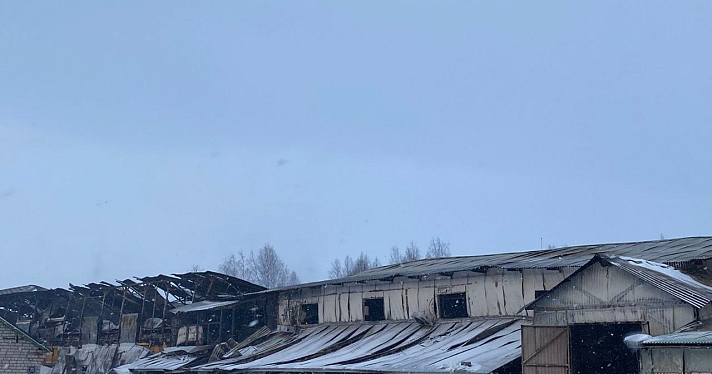 Власти Гаврилов-Яма прокомментировали пожар на гончарном заводе_261647