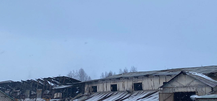 Власти Гаврилов-Яма прокомментировали пожар на гончарном заводе_261647