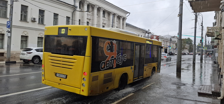 Погружение в осень: в Ярославль хлынет аномальный холод