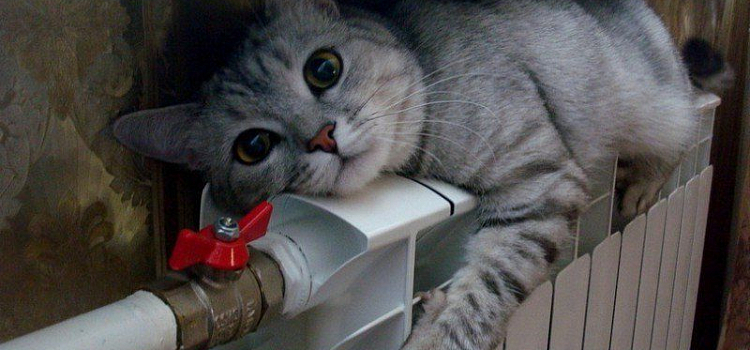 К отопительному сезону готово 92% жилых ярославских домов