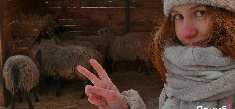 Ледяные забавы в Ярославском зоопарке: морозный фоторепортаж_310292