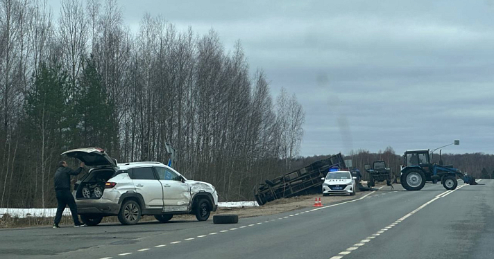 Животные погибли: в Ярославской области опрокинулся фургон, перевозивший коров