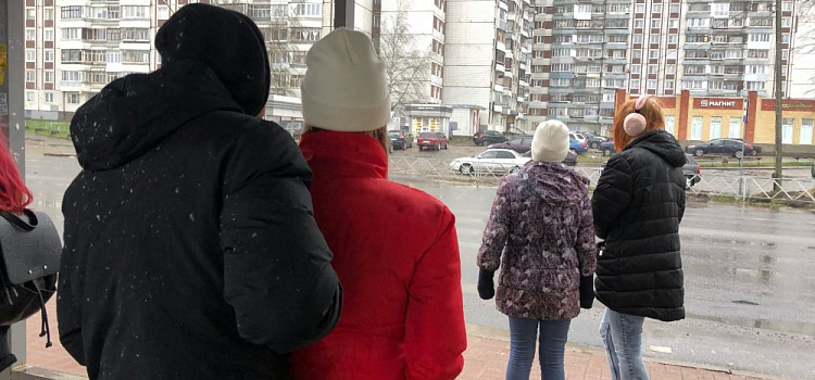 На этой неделе в Ярославле выпадет первый снег: дата 