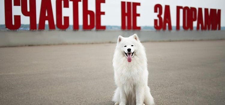 Ярославский аэропорт запускает сразу три новых авиасообщения