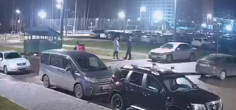 В Ярославле собачник подрался с автомобилистом из-за парковки на тротуаре