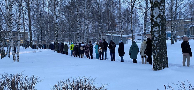 Стоят на улице: в Ярославле выстроилась огромная очередь для сдачи ПЦР-теста
