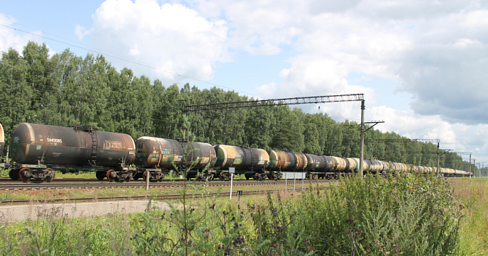 В Ярославской области грузовой поезд насмерть сбил лося