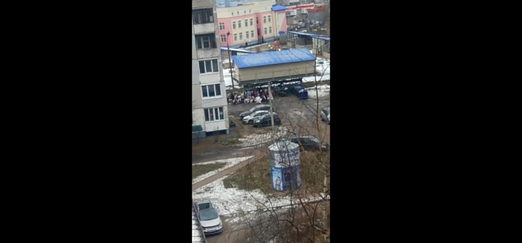 Видео дня. В Дзержинском районе ярославцы толпой разбирали вещи на помойке