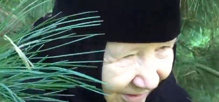 Умерла сестра Толгского монастыря: подробности_170944
