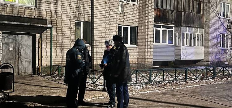 В Ярославской области при пожаре погиб трехлетний ребенок: названа предварительная причина пожара_257715