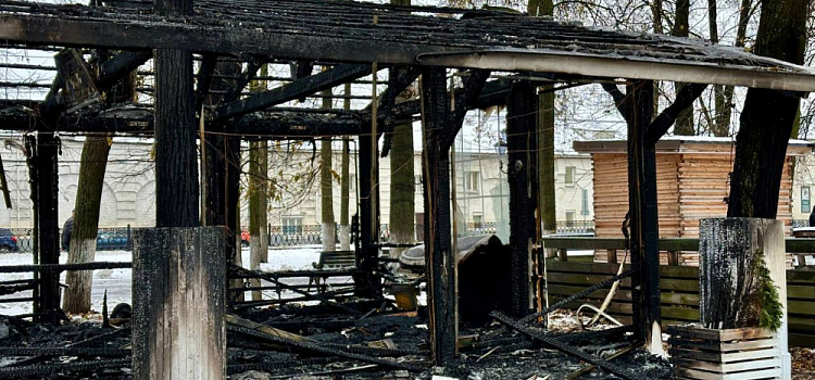 Вступился за маму: экс-депутат пояснил, зачем сжег ресторан в центре Ярославля