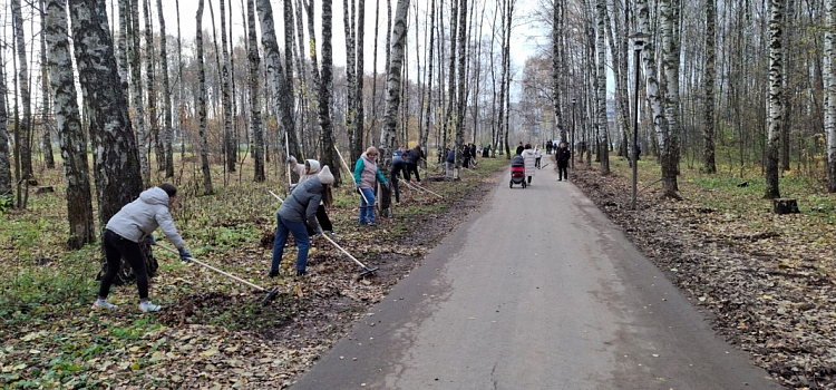 Ярославцы приняли участие в субботнике в Павловском парке_284991