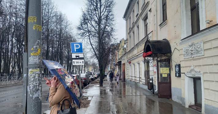 До -1: ярославцев предупредили о заморозках
