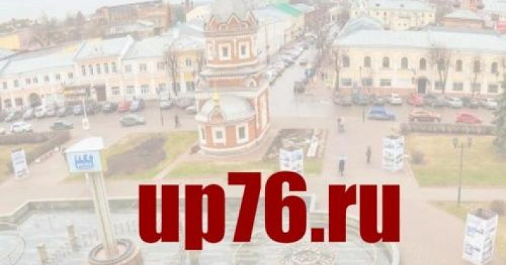 Выборы Уполномоченного по правам человека в Ярославской области пройдут 27 февраля