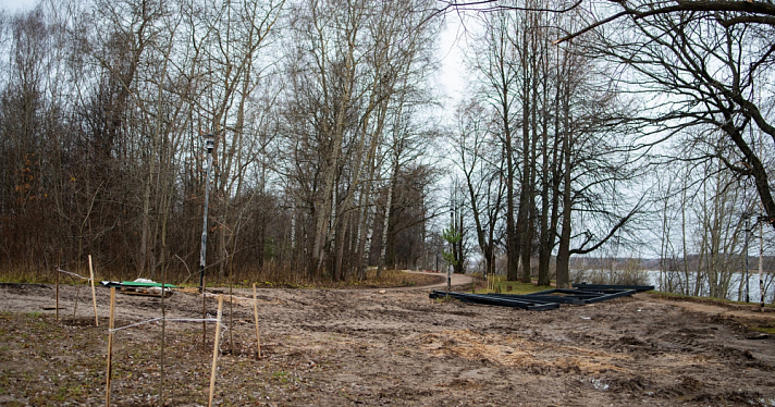 В Ярославле в ходе благоустройства памятнику природы нанесли ущерб на девять миллионов рублей