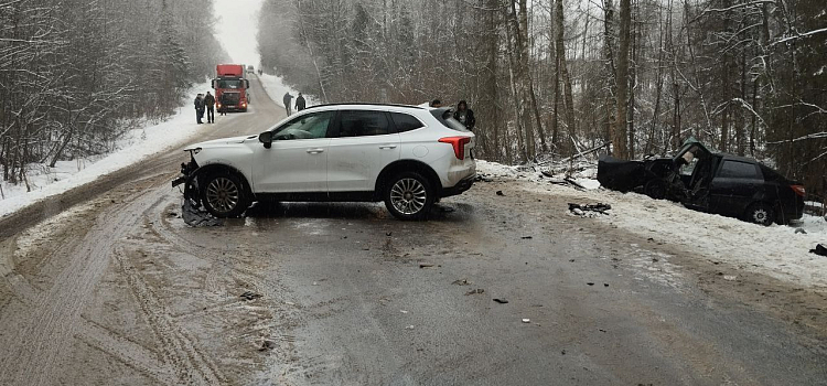 Пятилетний мальчик погиб в ДТП на трассе в Ярославской области_292976