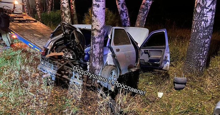 В Ярославском районе водитель врезался в дерево и оставил автомобиль_251457