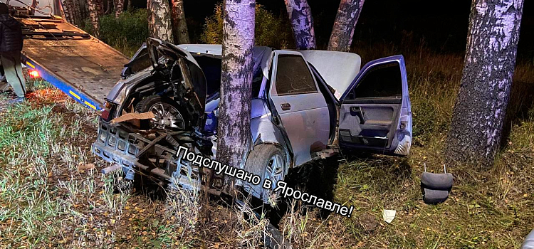 В Ярославском районе водитель врезался в дерево и оставил автомобиль_251457