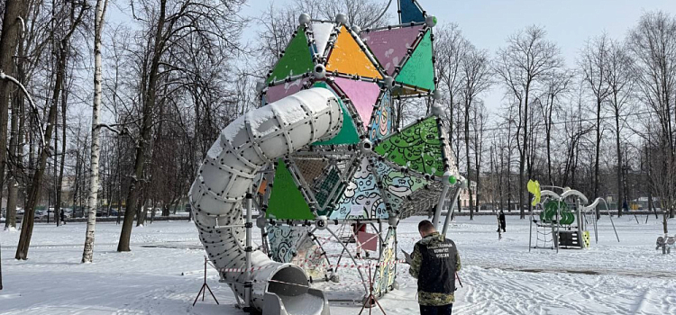 По факту травмирования ребёнка в ярославском парке возбудили уголовное дело