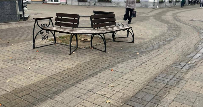 В центре Ярославля высадят новые деревья вместо спиленных_223626