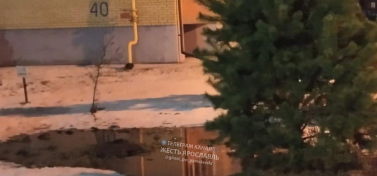 Жители деревни под Ярославлем бьют тревогу из-за проблем с канализацией