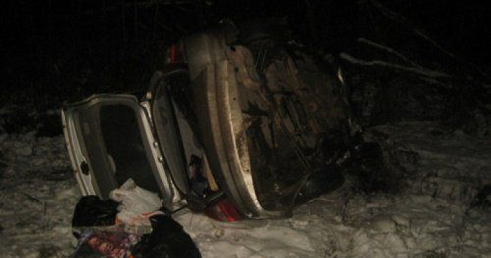 В Первомайском районе водитель автомобиля «Киа» сбил лося и погиб 