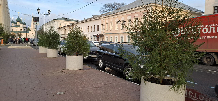Улицу в центре Ярославля посреди октября украсили ёлками_305116