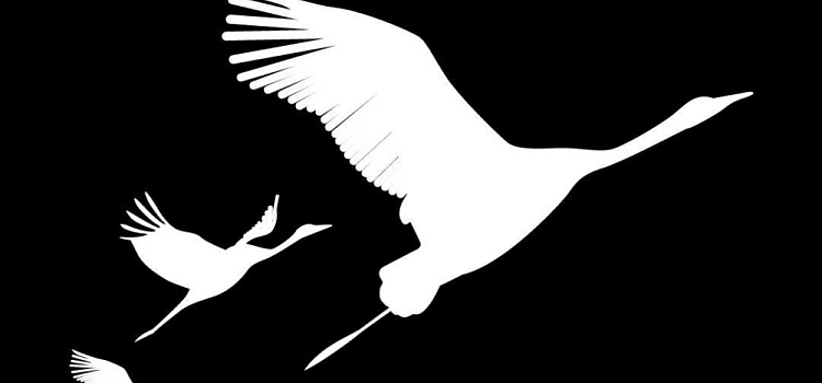 Ярославская область присоединилась к акции «Журавли» в память о жертвах теракта 