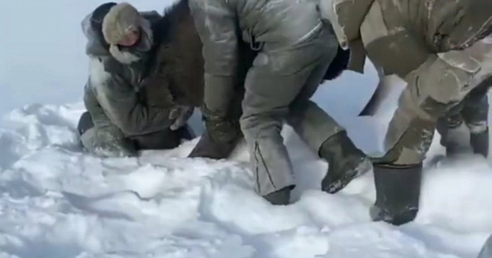  Душили голами руками: в Сеть слили видео зверского убийства лосихи 