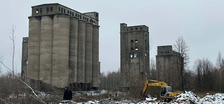 Ярославцы собрались у старых элеваторов, чтобы понаблюдать за их сносом_225057