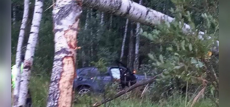 Молодой водитель погиб на дороге под Ярославлем