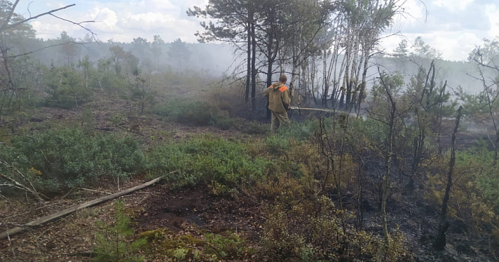 В Угличском районе горит лес