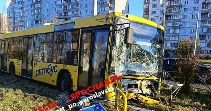 В Ярославле водитель автобуса, спасая животное, вылетел с дороги