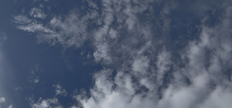 Весна в Ярославской области берёт паузу