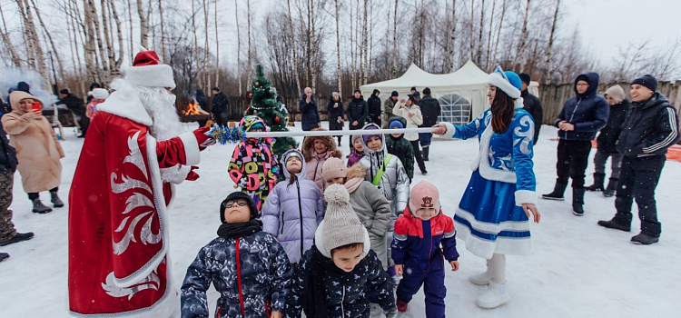 В Ярославле провели новогодний корпоратив для собак_229941