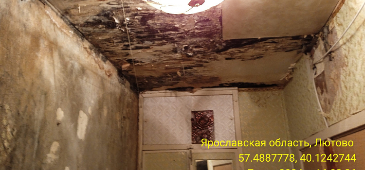 «Крик помощи!»: в селе под Ярославлем жители пятиэтажек выживают в «коммунальном аду»