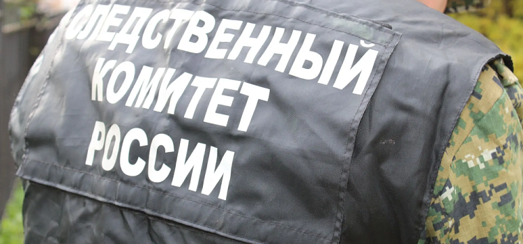 В Ярославской области мужчина насмерть ударил товарища ножом по ноге