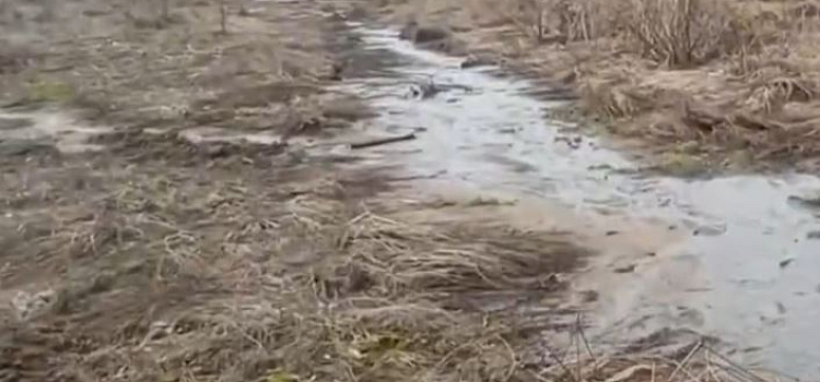 Вода может быть отравлена: в Ярославской области неочищенные канализационные отходы сливали в овраг