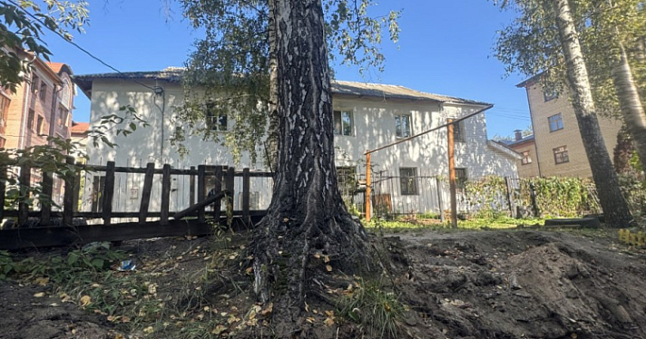 Ярославского депутата возмутило повреждение деревьев в ходе благоустройства