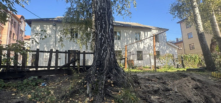 Ярославского депутата возмутило повреждение деревьев в ходе благоустройства