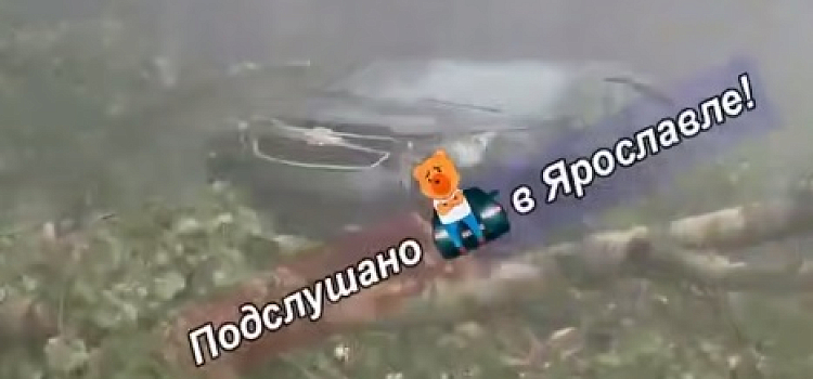 Крыши и деревья летели прямо на дорогу: в Ярославской области устраняют последствия грозы_319279