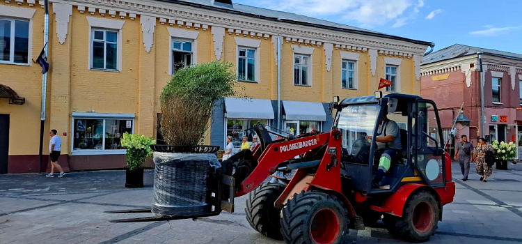 Улицу Депутатскую в Ярославле заполняют мобильным озеленением