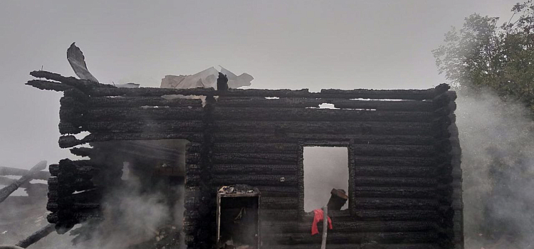 В селе Ярославской области при пожаре погибли женщина и двое детей_274638