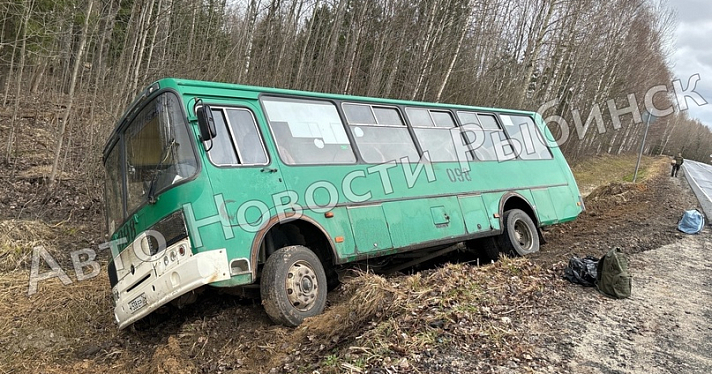 В Ярославской области пассажирский автобус опрокинулся на трассе_270066