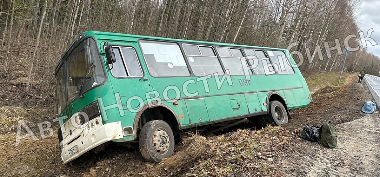 В Ярославской области пассажирский автобус опрокинулся на трассе_270066