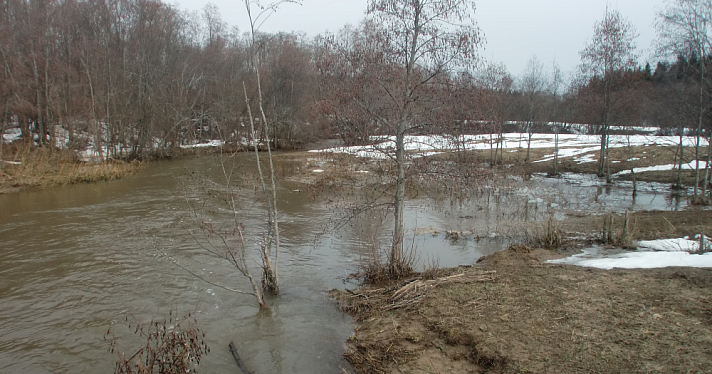 В Ярославской области из-за дождей могут выйти из берегов некоторые реки