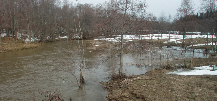 В Ярославской области из-за дождей могут выйти из берегов некоторые реки