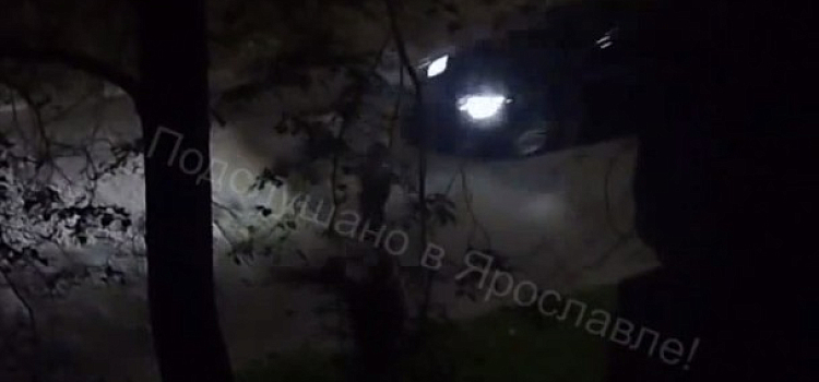 Двое ярославцев устроили дуэль посреди дороги — один из них угодил под колеса автомобиля
