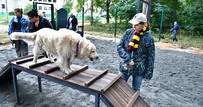 В Заволжском районе Ярославля открыли современную площадку для дрессировки собак_220818
